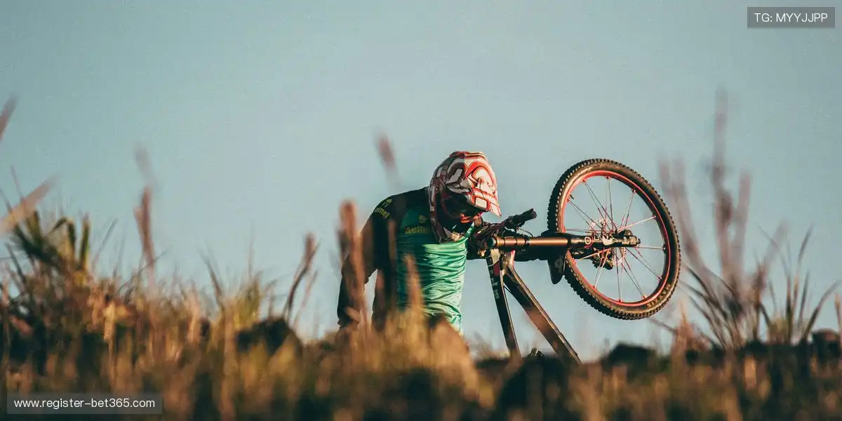 揭秘,湖北法院重,拳出击,bet365,bet365体育,bet365官网,bet365网址